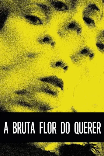 Assistir A Bruta Flor do Querer Online