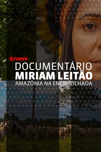 Assistir Amazônia na Encruzilhada Online