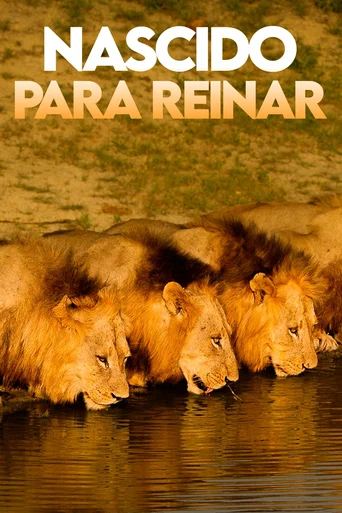 Assistir Nascido para Reinar Online