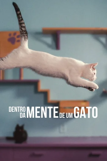 Assistir Dentro da Mente de um Gato Online
