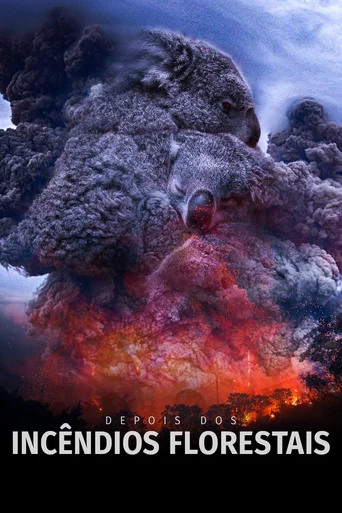 Assistir Depois dos Incêndios Florestais Online