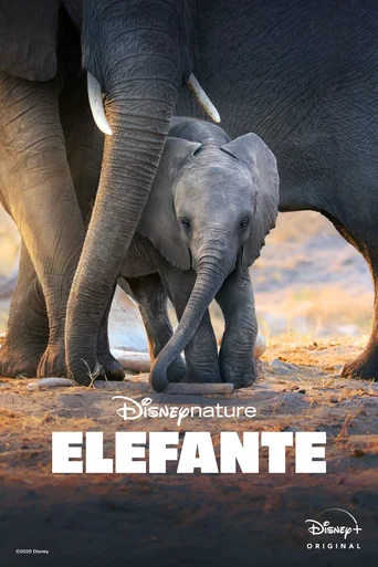 Assistir Elefante Online