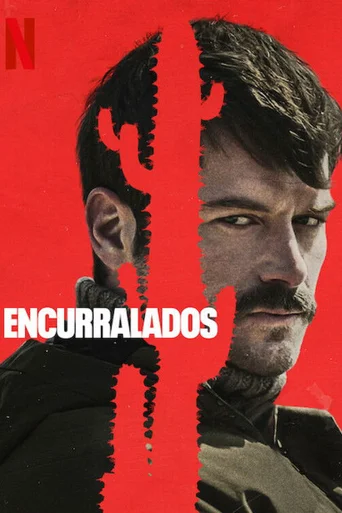 Assistir Encurralados Online