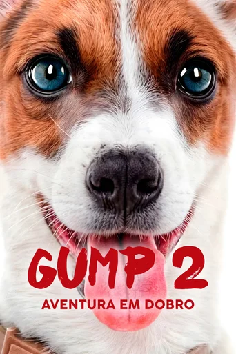 Assistir Gump 2 - Aventura em Dobro Online