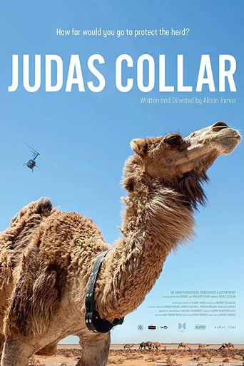 Assistir Judas Collar Online