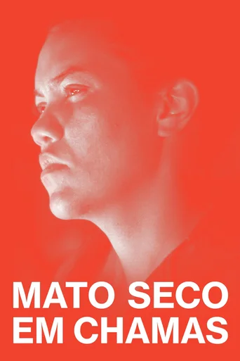 Assistir Mato Seco em Chamas Online