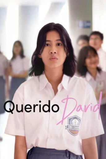 Assistir Querido David Online