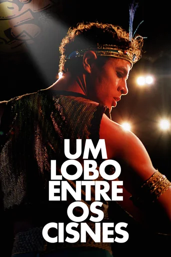 Assistir Um Lobo entre os Cisnes Online