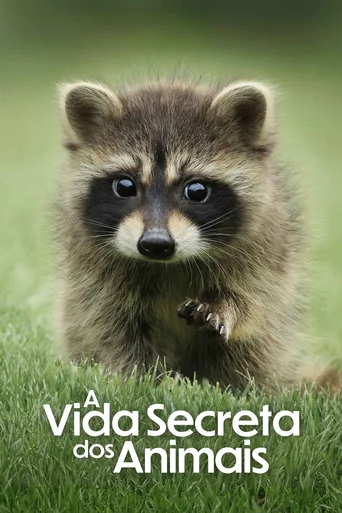 Assistir A Vida Secreta dos Animais Online
