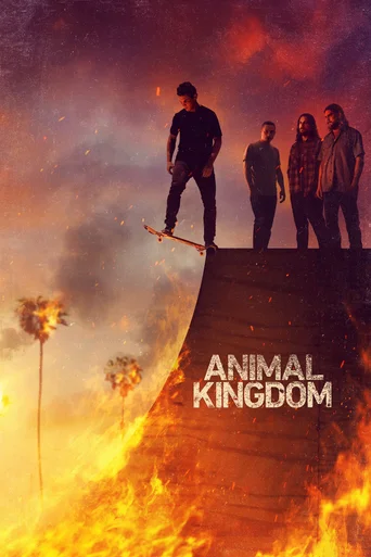 Assistir Animal Kingdom Online