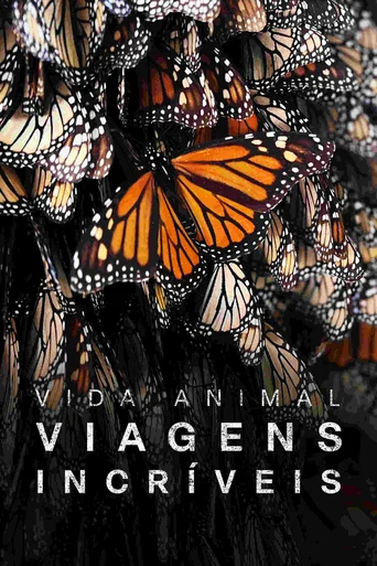 Assistir As Mais Incríveis Viagens de Animais Online