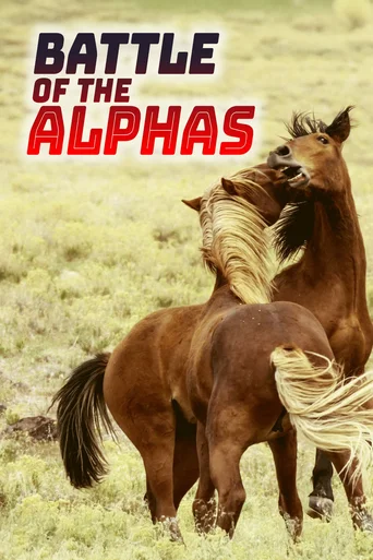 Assistir Batalha dos Alfas Online