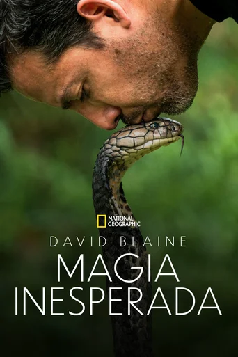 Assistir David Blaine: Magia Inesperada Online