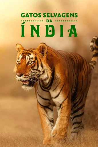 Assistir Gatos Selvagens da Índia Online