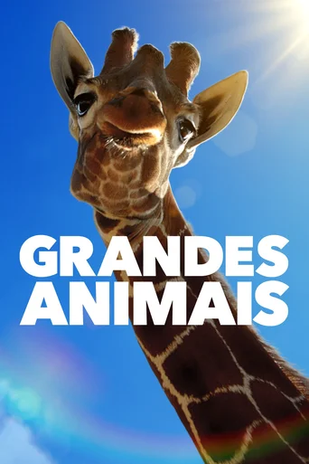 Assistir Grandes Animais Online
