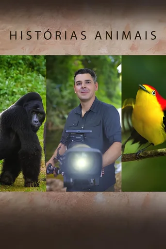 Assistir Histórias de Animais Online