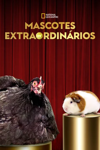 Assistir Mascotes Extraordinários Online