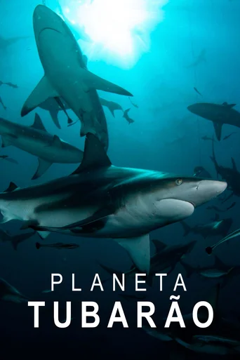 Assistir Planeta Tubarão Online
