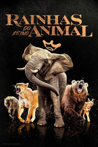 Assistir Rainhas do Reino Animal Online