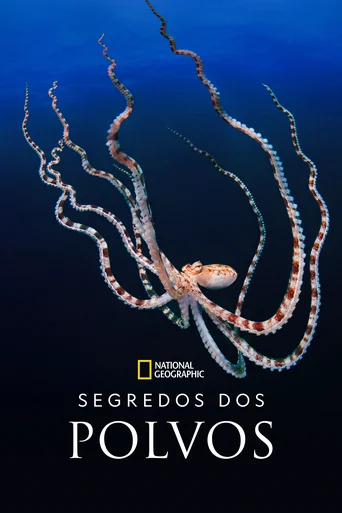 Assistir Segredos dos Polvos Online