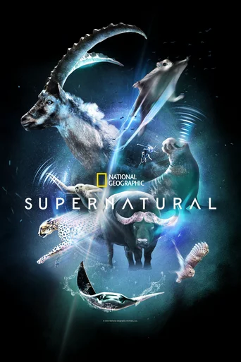 Assistir Super Natural Online