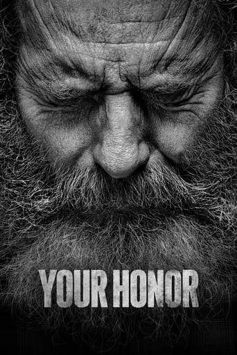 Assistir Your Honor Online